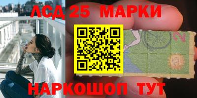 стаф Можга