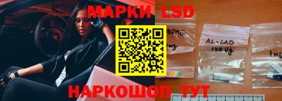 стаф Можга