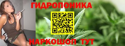 стаф Можга
