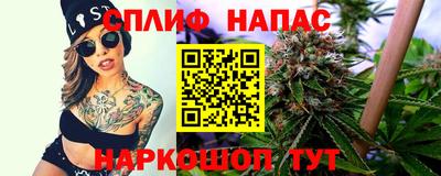 стаф Можга