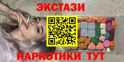 стаф Можга