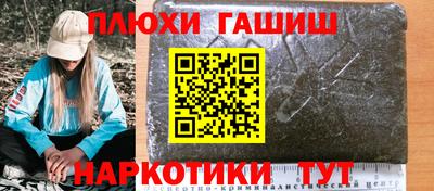 стаф Можга